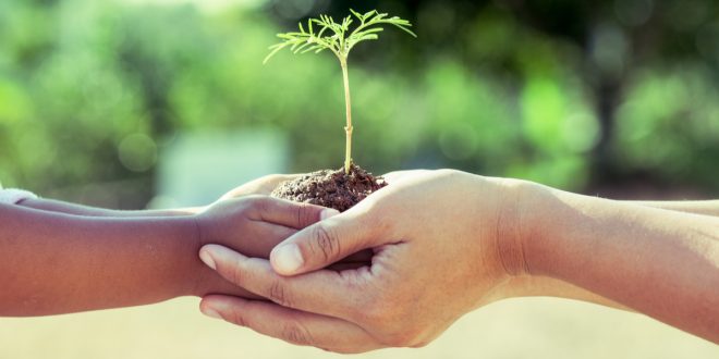 Planned-Giving-Sapling-660×330